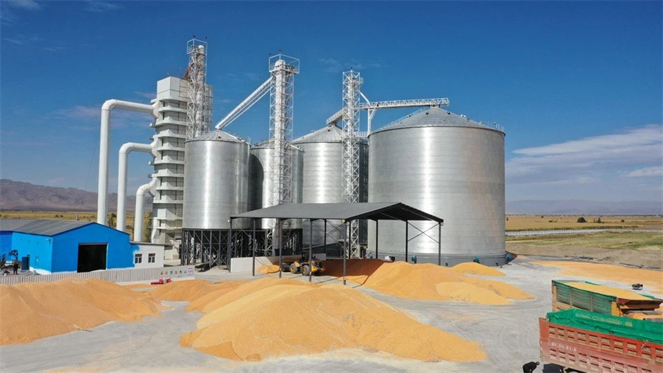 efca442cfad45244ff88ecf300bc9d0